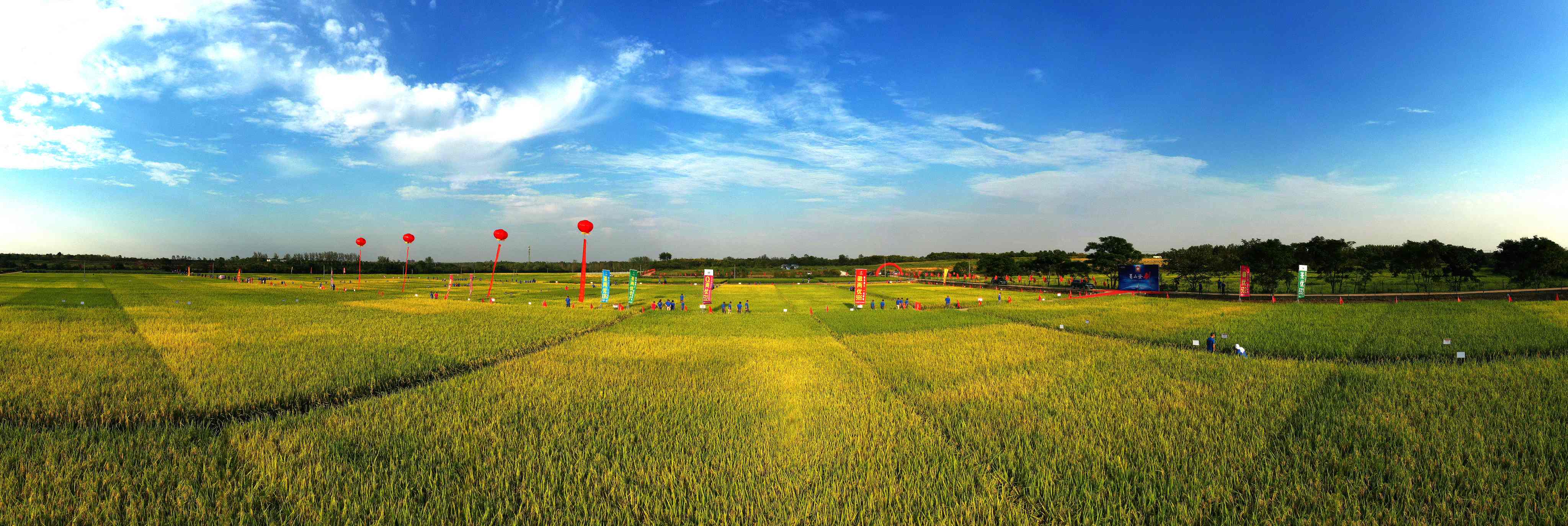 荃銀高科 版權(quán)所有 (50)(1).JPG